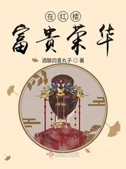 《在红楼富贵荣华》小说封面