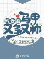《我老婆马甲又多又帅》小说封面