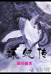 《谍妃传》小说封面