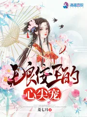 《无良佞王的心尖宠》小说封面