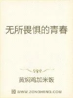《无所畏惧的青春》小说封面