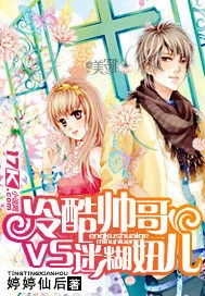 《冷酷帅哥VS迷糊妞儿》小说封面