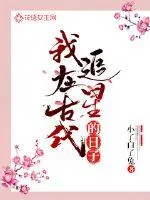 《我在古代追星的日子》小说封面