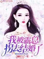 《我被霸总拐去结婚了》小说封面