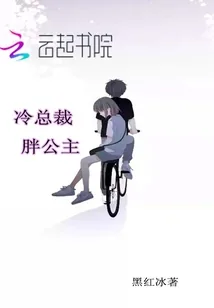 《冷总裁胖公主》小说封面