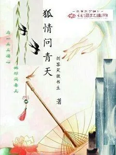 《糊情问青天》小说封面