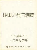 《种田之福气满满》小说封面