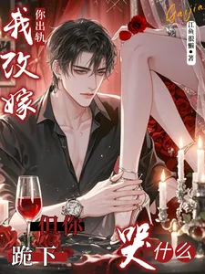 《你出轨我改嫁,但你跪下哭什么?》小说封面