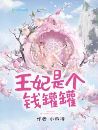 《王妃是个钱罐罐》小说封面
