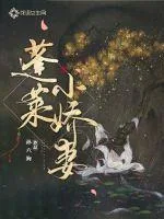 《蓬莱小娇妻》小说封面