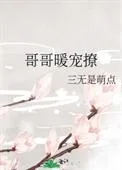 《哥哥暖宠撩》小说封面