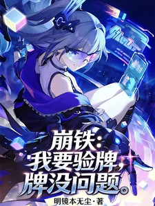 《崩铁：我要验牌，牌没问题》小说封面