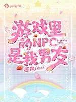 《游戏里的NPC是我男友》小说封面