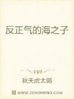 《海贼之黑袍大将》小说封面