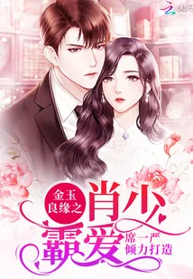 《金玉良缘之肖少霸爱》小说封面