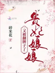 《贵妃娘娘又被翻牌子了》小说封面
