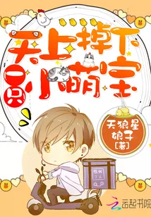 《天上掉下一只小萌宝》小说封面