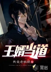 《王婿当道》小说封面