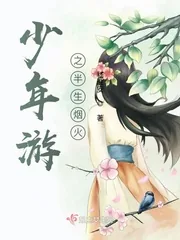 《少年游之半生烟火》小说封面