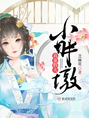 《真妻假夫小胖墩》小说封面