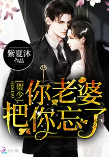 《贺少，你老婆把你忘了》小说封面