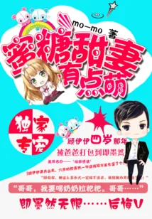 《蜜糖甜妻有点萌》小说封面