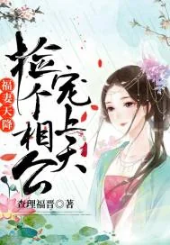 《福妻天降：捡个相公宠上天》小说封面