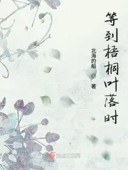 《等到梧桐叶落时》小说封面