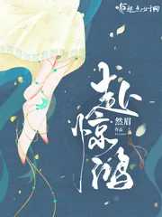 《赴惊鸿》小说封面