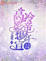 《宠妻狂魔高冷影帝想官宣》小说封面