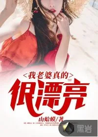 《我老婆真的很漂亮》小说封面