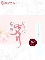 《唯有岁月解情深》小说封面