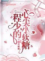 《程少的心尖小软糖》小说封面