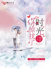 《你惊扰了时光》小说封面