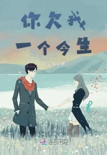 《你欠我一个今生》小说封面