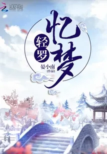 《轻罗忆梦》小说封面