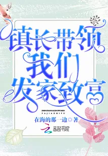 《镇长带领我们发家致富》小说封面