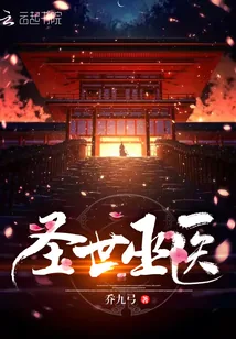 《圣世巫医》小说封面