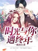 《时光与你遇终年》小说封面