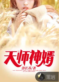 《天师神婿》小说封面