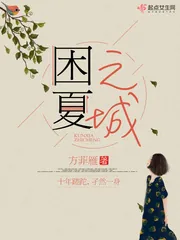 《困夏之城》小说封面