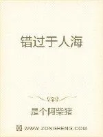 《错过于人海》小说封面