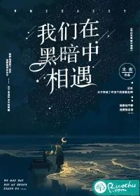 《我们在黑暗中相遇》小说封面