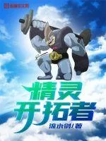 《精灵开拓者》小说封面