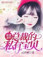 《甜蜜妻约：总裁的私有宝贝》小说封面