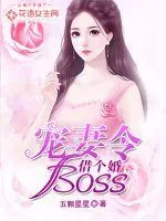 《宠妻令：boss，借个婚！》小说封面