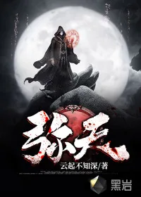 《弥天》小说封面