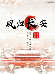 《凤归长安》小说封面