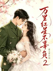 《万里红星不辜负2》小说封面