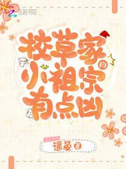 《校草家的小祖宗有点凶》小说封面